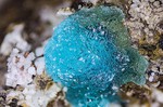 Griechenland Lavrion Mineralien Serpieri Adamin Al
