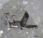 Mineralien Schweiz Lengenbach Arsenopyrit