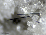 Mineralien Schweiz Lengenbach Dufrénoysit