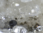 Mineralien Schweiz Lengenbach Hatchit
