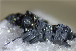 Mineralien Schweiz Lengenbach Liveingit
