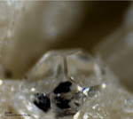 Mineralien Schweiz Lengenbach Apatit