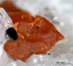 Mineralien Schweiz Lengenbach Pararealgar