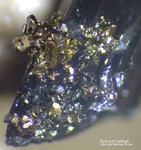 Mineralien Schweiz Lengenbach Pyrit