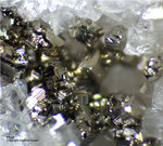 Mineralien Schweiz Lengenbach Pyrit