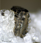 Mineralien Schweiz Lengenbach Pyrit