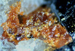 Mineralien Schweiz Lengenbach Realgar