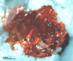 Mineralien Schweiz Lengenbach Realgar
