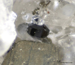Mineralien Schweiz Lengenbach Rutil