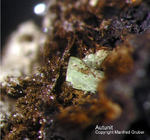 Mineralien Bayern Hagendorf Süd Autunit
