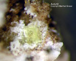 Mineralien Bayern Hagendorf Süd Autunit