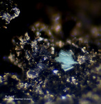 Mineralien Bayern Hagendorf Süd Autunit