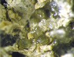 Mineralien Bayern Hagendorf Süd Apatit