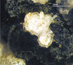 Mineralien Bayern Hagendorf Süd Apatit
