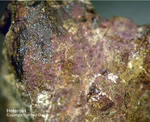 Mineralien Bayern Hagendorf Süd Heterosit