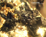 Mineralien Bayern Hagendorf Süd Kryptomelan