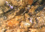 Mineralien Bayern Hagendorf Süd Laueit