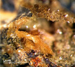Mineralien Bayern Hagendorf Süd Laueit