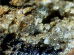 Bayern Mineralien Hagendorf Süd Leukophosphit
