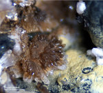 Bayern Mineralien Hagendorf Süd Phosphosiderit