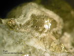 Bayern Mineralien Hagendorf Süd Pyrit