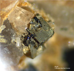 Bayern Mineralien Hagendorf Süd Pyrit