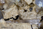 Bayern Mineralien Hagendorf Süd Rhodochrosit