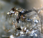 Bayern Mineralien Hagendorf Süd Schoonerit