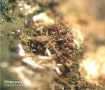 Bayern Mineralien Hagendorf Süd Whitmoreit