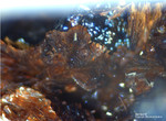 Mineralien Bayern Grube Leonie Beraunit