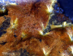 Mineralien Bayern Grube Leonie Kakoxen