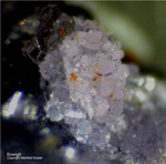 Mineralien Bayern Grube Leonie Strengit