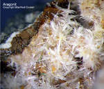 Bayern Mineralien Maroldsweisach Zeilberg Aragonit