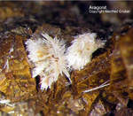 Bayern Mineralien Maroldsweisach Zeilberg Aragonit