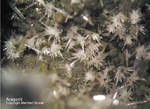 Bayern Mineralien Maroldsweisach Zeilberg Aragonit