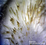  Bayern Mineralien Maroldsweisach Zeilberg Natrolith