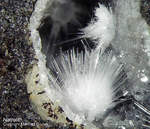  Bayern Mineralien Maroldsweisach Zeilberg Natrolith