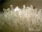  Bayern Mineralien Maroldsweisach Zeilberg Natrolith