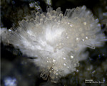  Bayern Mineralien Maroldsweisach Zeilberg Natrolith