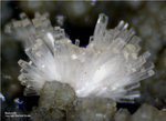  Bayern Mineralien Maroldsweisach Zeilberg Natrolith