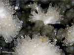  Bayern Mineralien Maroldsweisach Zeilberg Natrolith