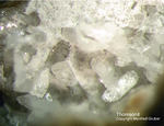 Eifel Mineralien Arensberg Thomsonit