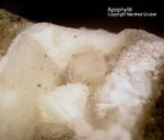 Mineralien Eifel Bellerberg Apophyllit