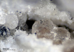 Mineralien Eifel Bellerberg Apophyllit
