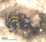Mineralien Eifel Bellerberg Braunit