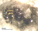 Mineralien Eifel Bellerberg Braunit