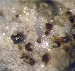 Mineralien Eifel Bellerberg Braunit