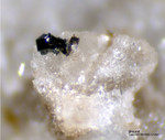 Mineralien Eifel Bellerberg Braunit