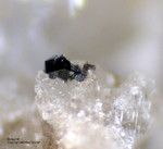 Mineralien Eifel Bellerberg Braunit