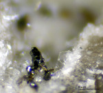 Mineralien Eifel Bellerberg Braunit